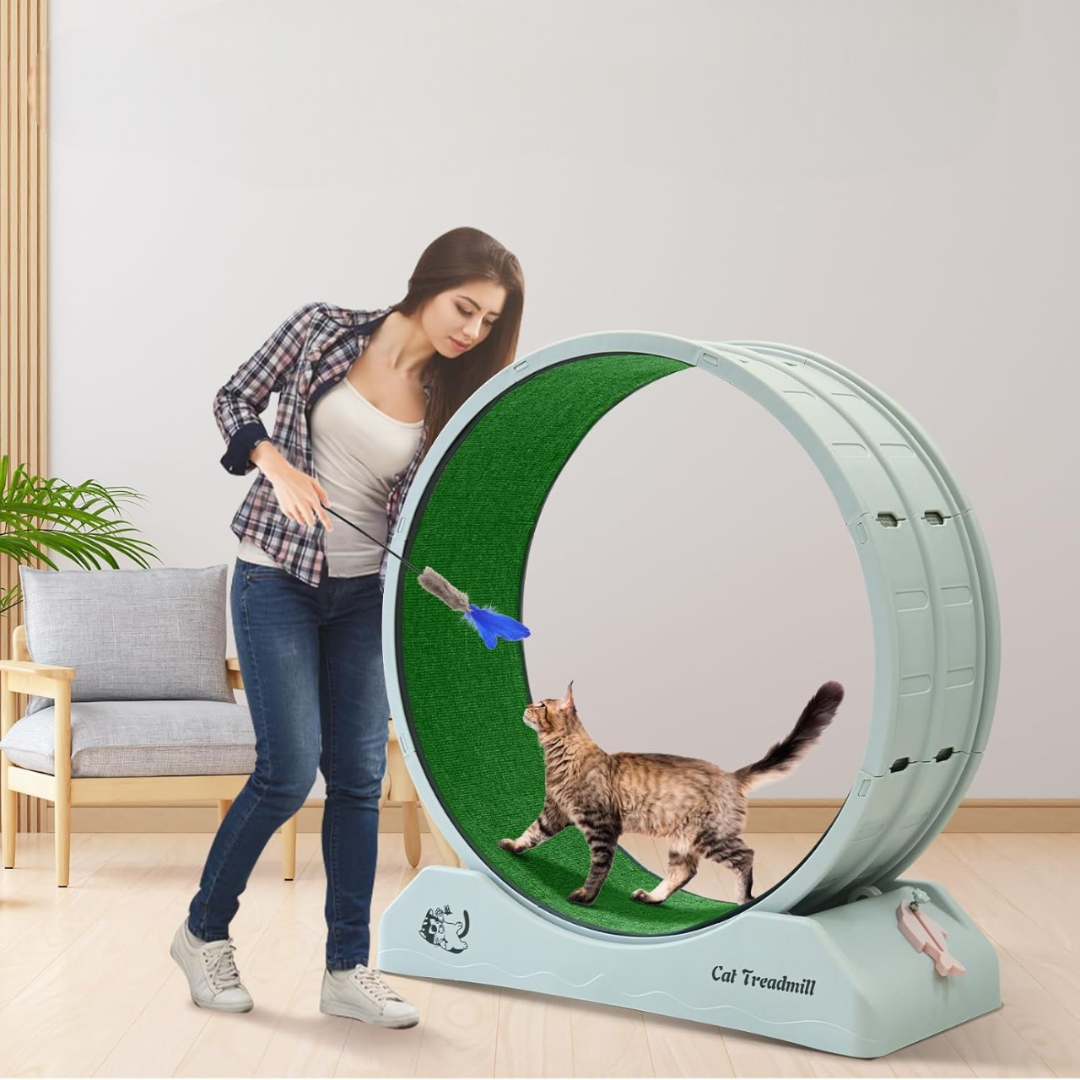 Healthy Cat Fitness Indoor Treadmill