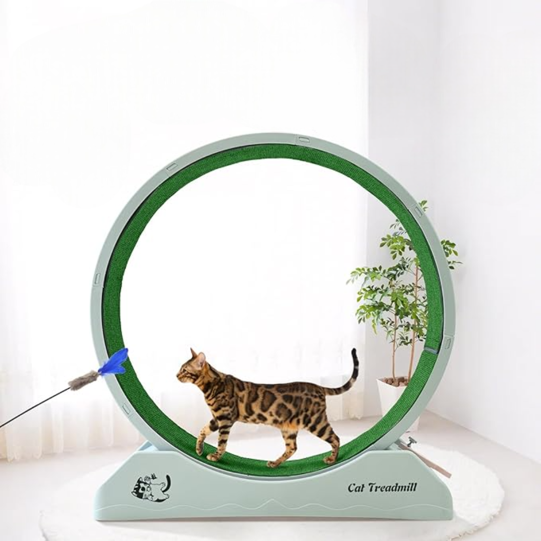 Healthy Cat Fitness Indoor Treadmill