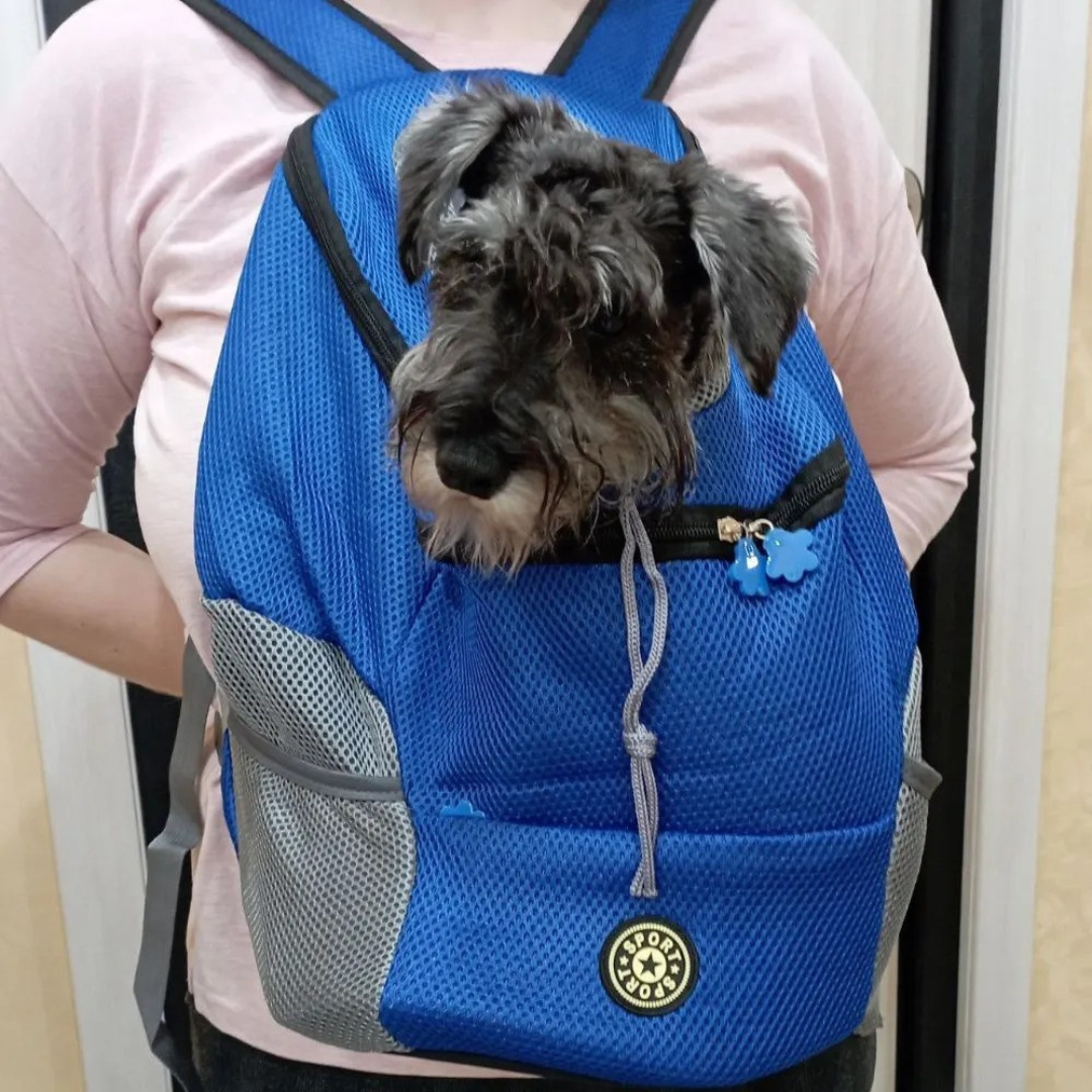 Comfy Outdoor Travel Pet Backpack