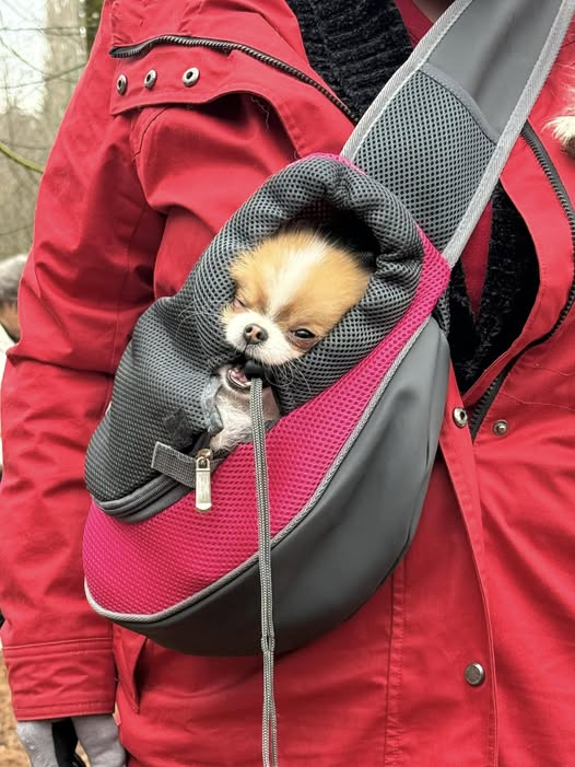 Cozy Pet Safe Travel Pouch