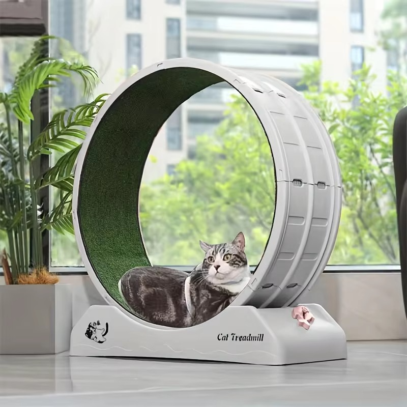 Healthy Cat Fitness Indoor Treadmill