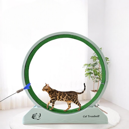 Healthy Cat Fitness Indoor Treadmill