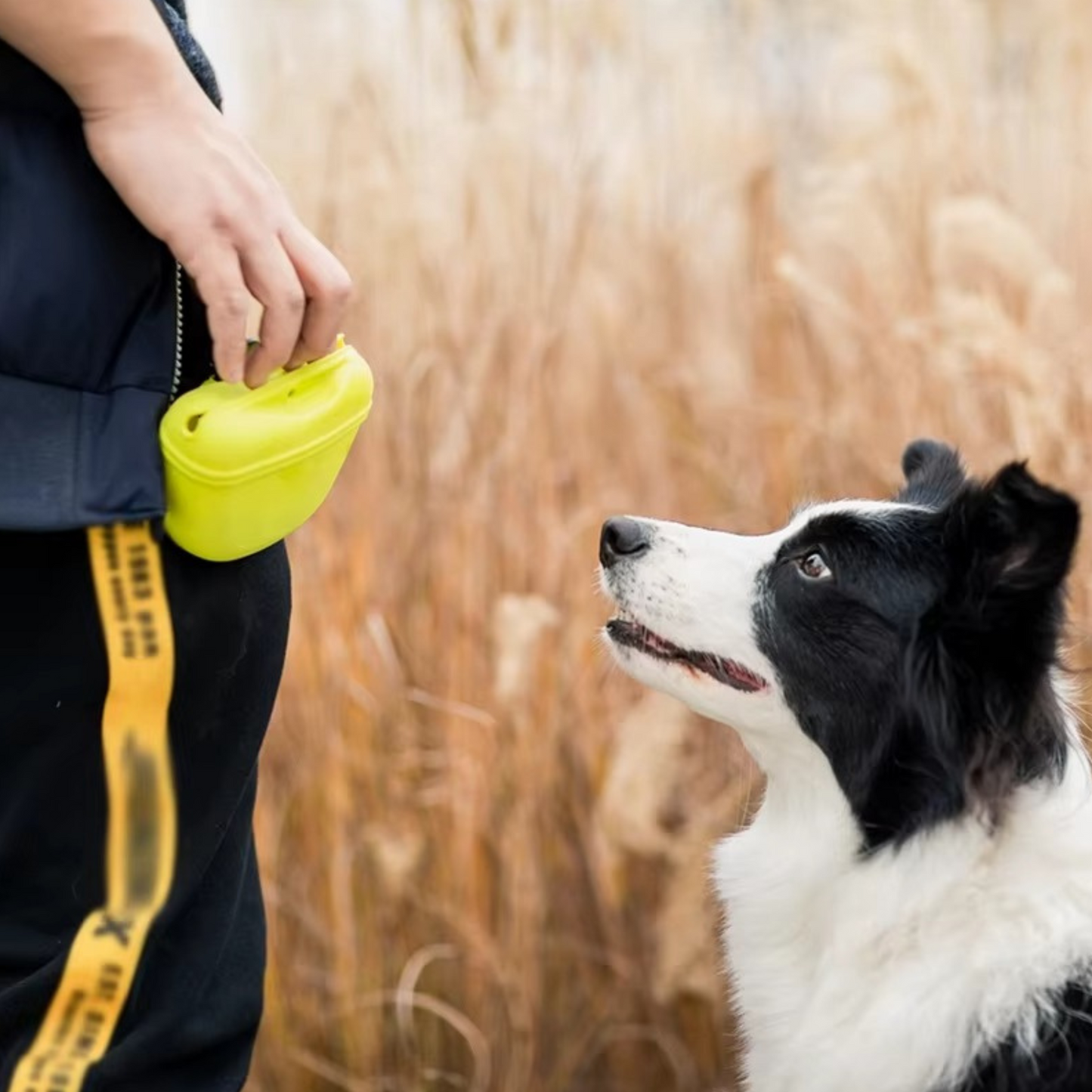 Smart Puppy Training Snack Pouch