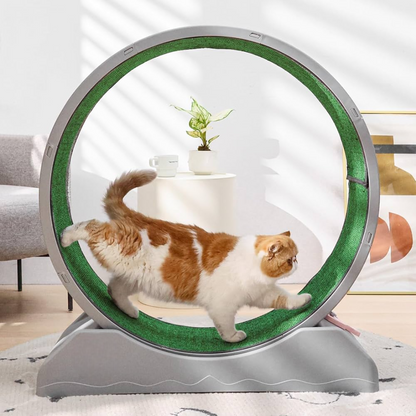 Healthy Cat Fitness Indoor Treadmill