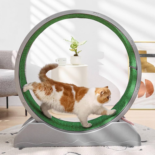 Healthy Cat Fitness Indoor Treadmill