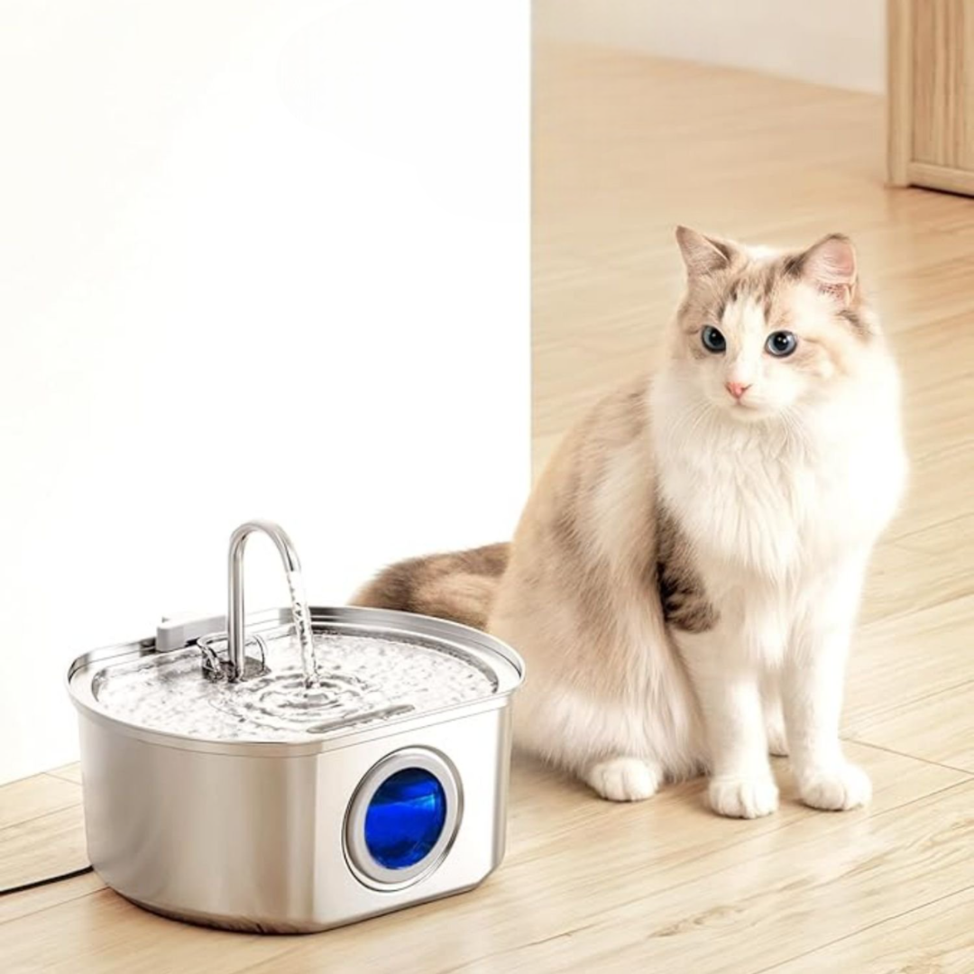 Ever Fresh Pet Hydration Station