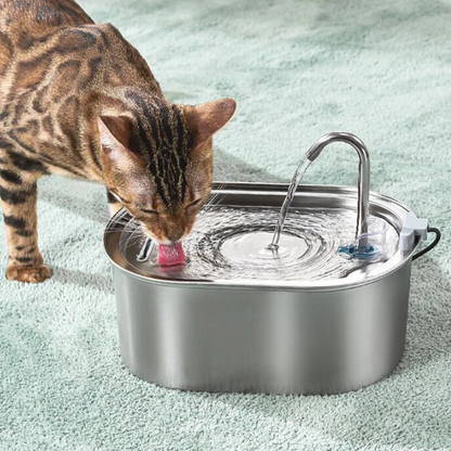 Ever Fresh Pet Hydration Station