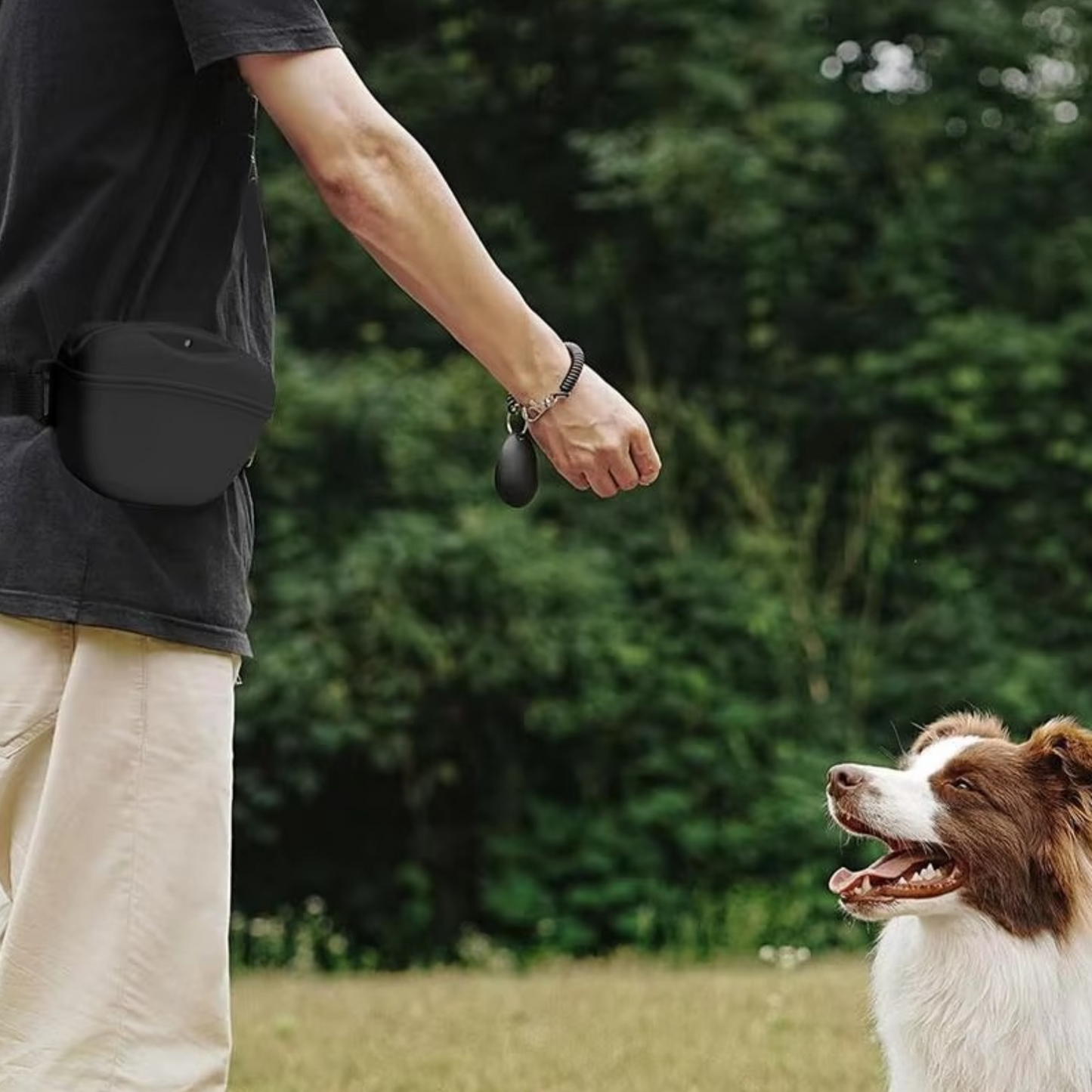 Smart Puppy Training Snack Pouch
