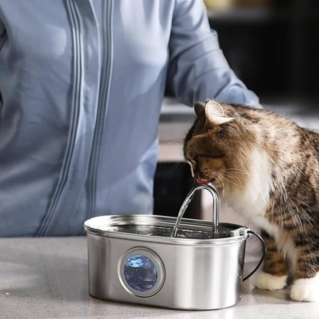 Ever Fresh Pet Hydration Station