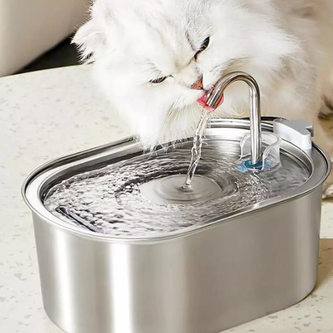 Ever Fresh Pet Hydration Station