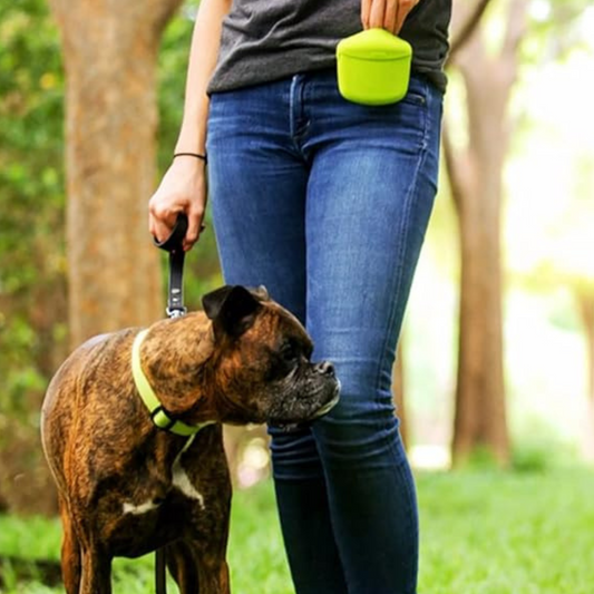 Smart Puppy Training Snack Pouch
