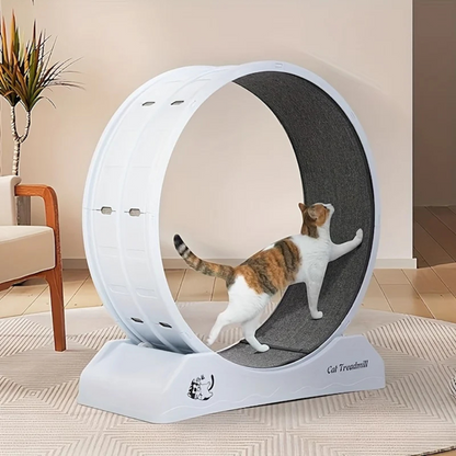 Healthy Cat Fitness Indoor Treadmill