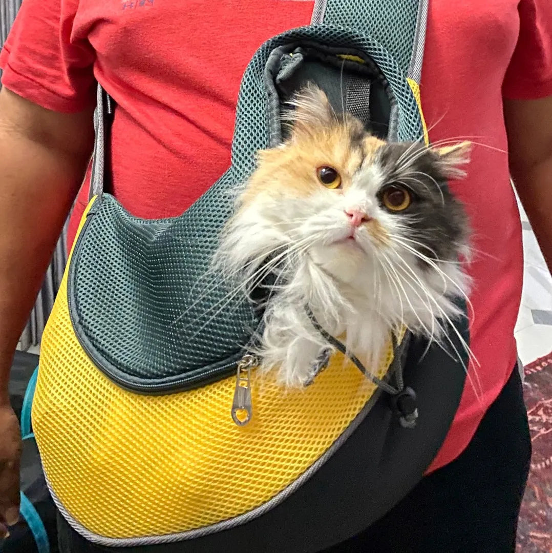 Cozy Pet Safe Travel Pouch