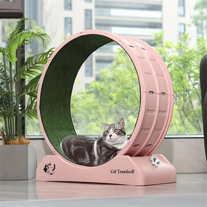 Healthy Cat Fitness Indoor Treadmill