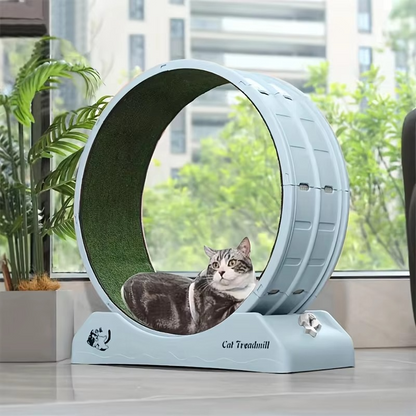 Healthy Cat Fitness Indoor Treadmill