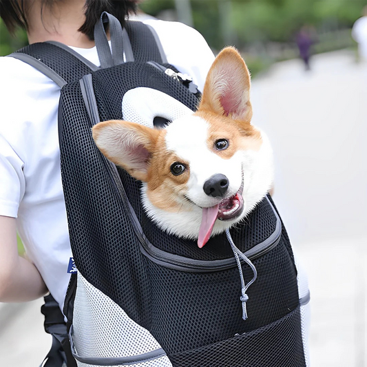 Comfy Outdoor Travel Pet Backpack